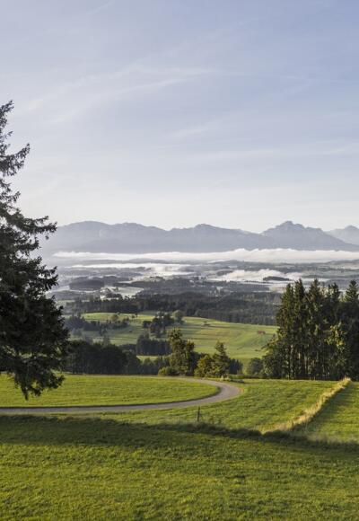 Blick in den Schlosspark am Auerberg