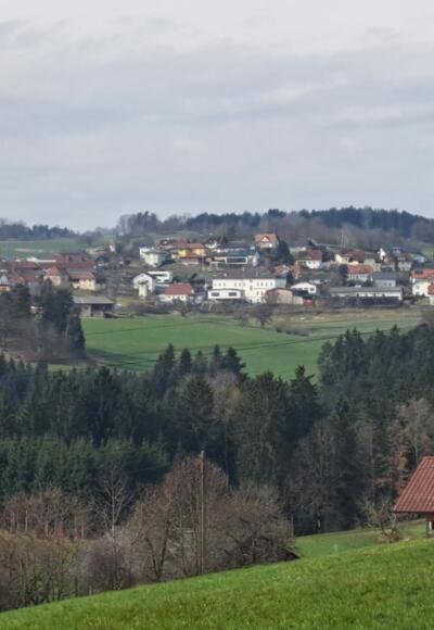Blick auf Waldburg