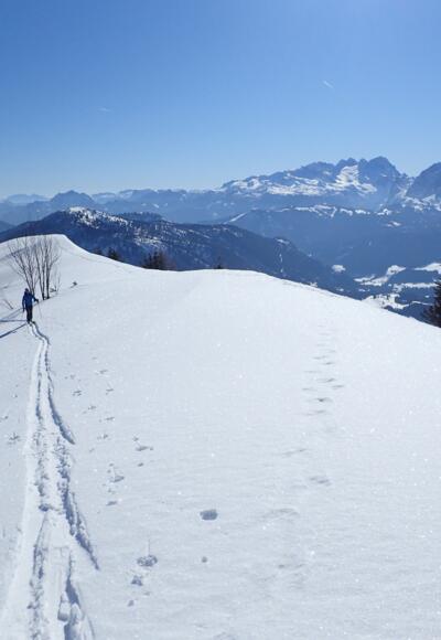 Ausblick zum Dachsteinmassiv