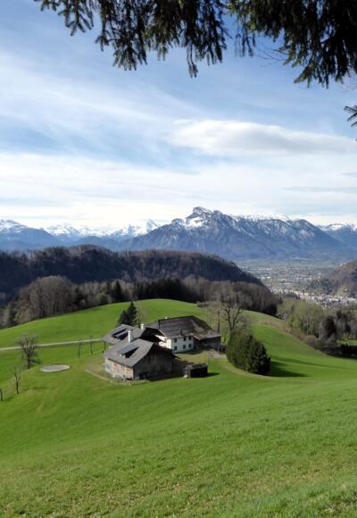 Das Salzburger Becken mit den bekanntesten Größen der Berchtesgadener Alpen im Hintergrund
