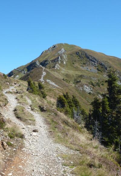 Zuletzt führt ein etwas steilerer Trail auf die Nordseite des Gipfelaufbaus.