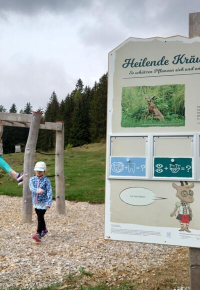 Hangelleiter mit Kräuterrätsel