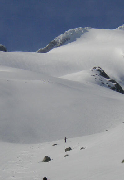 Wildgerloskees zum Gabler