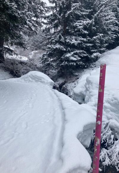 Idyllischer Winterweg zum Komperdell - Rosa Markierungsstange