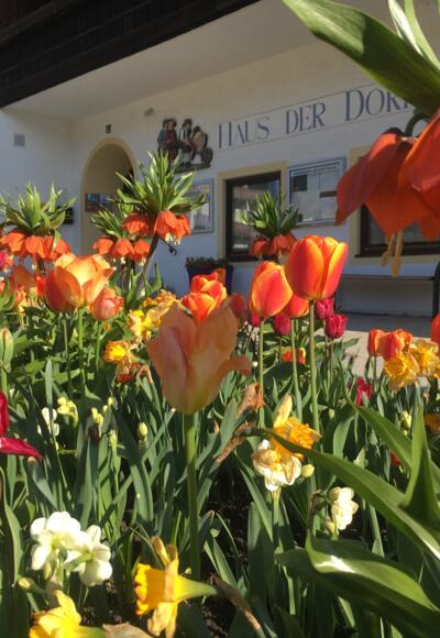 An der Tourist-Info Rottau