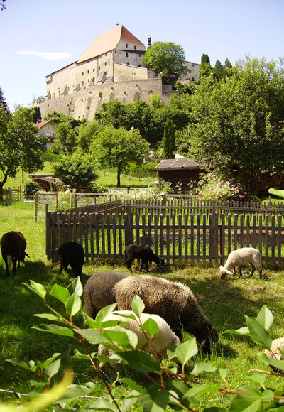 Burg Tittmoning-Barthel