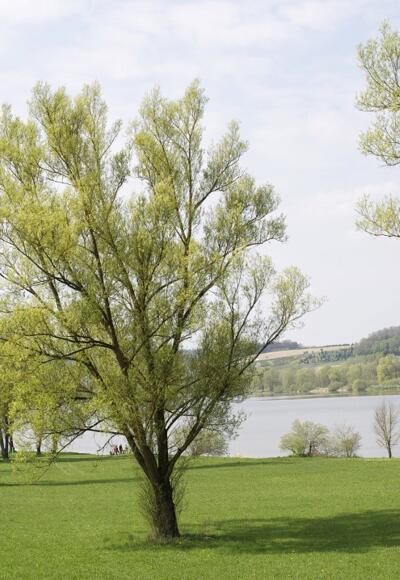 Naherholungsgebiet Rottauensee