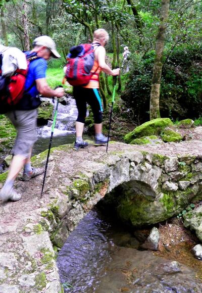Pilgern - gemeinsam über Stock und Stein
