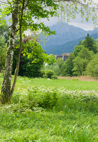 Höglwörther Weg © RoHa Fotothek