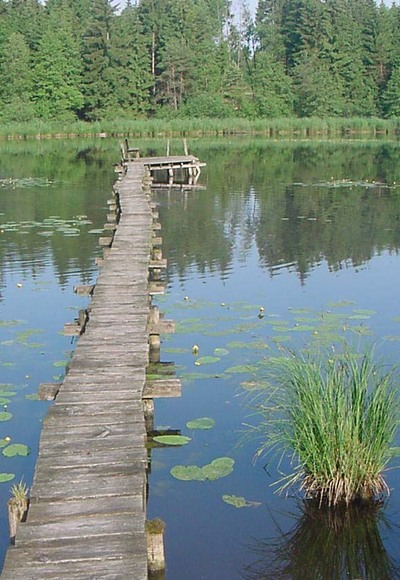 Wer sich über den Steg traut, sitzt an dessen Ende auf einer Bank mitten auf dem Neusee.