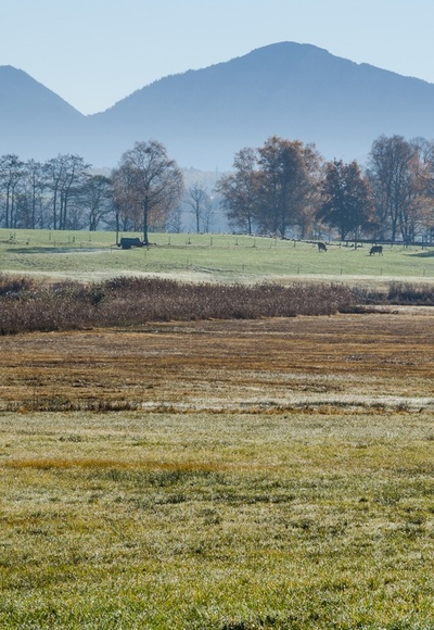 Wanderung - Kirnberg-Rundweg - Blick in die Alpen