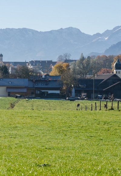 Wanderung - Hungerbach-Rundweg - Spatzenhausen mit Alpen
