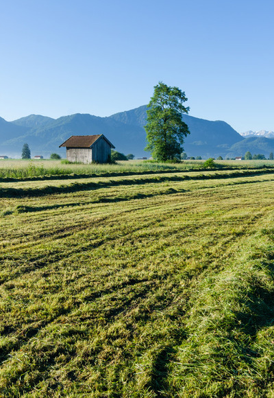 Wanderung - Weiler-Rundweg - Blick in die Berge