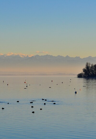 Blick über den Ammersee