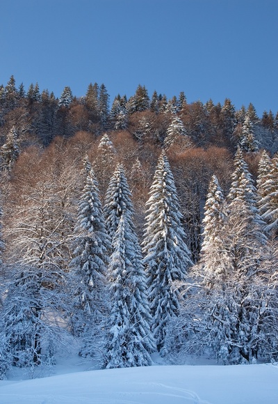 Winterlandschaft in Lenggries