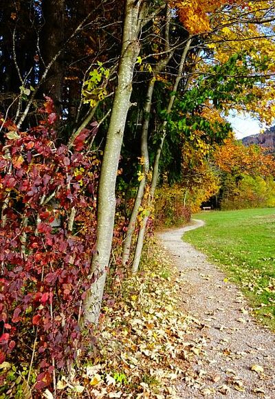 Herbst in Benediktbeuern