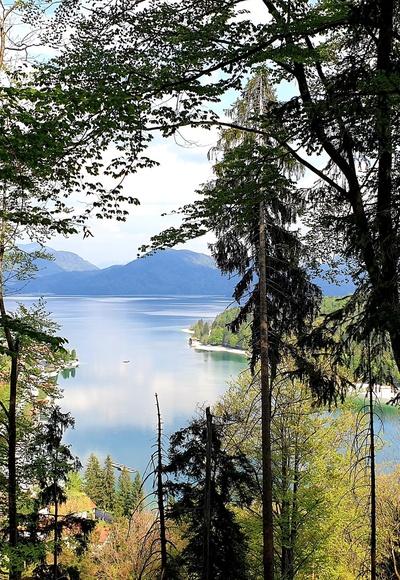 Aussicht vom Gamsreibnweg über den Walchensee