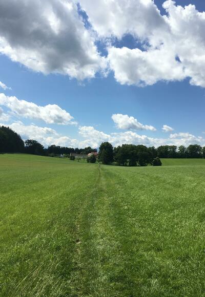 Weitblick auf Schlossgut Oberambach