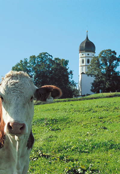 Bei Münsing Holzhausen.