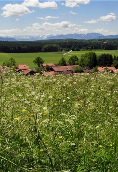 Zellbachtal bei Dietramszell