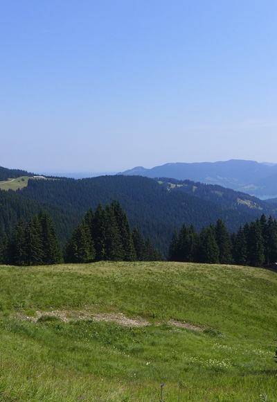 Weg zum Hirschbachsattel
