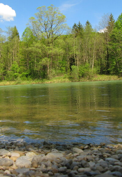 Geretsried- Zur Isarbrücke und in die Wildnis