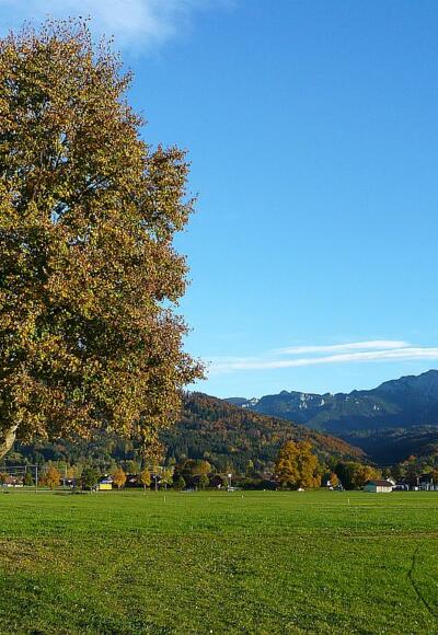 Wiesenweg zwischen Bichl und Benediktbeuern