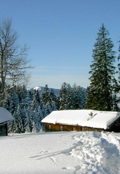 Schwaiger Alm Winter