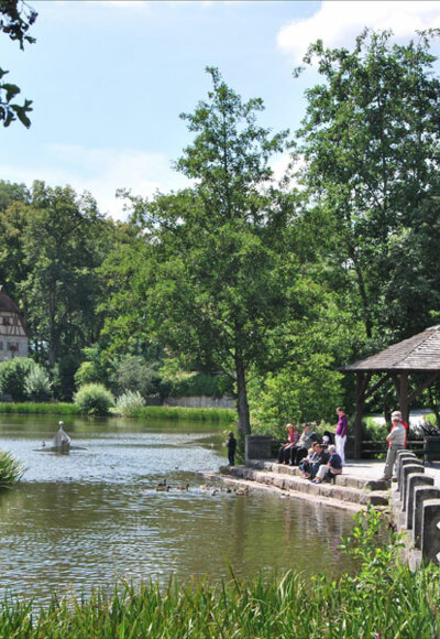 Rothenburger Weiher in Dinkelsbühl
