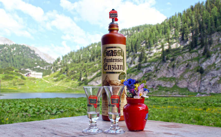 Enzian an der Brennhütte am Funtensee