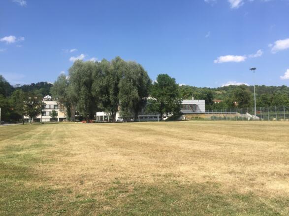University´s Cafeteria