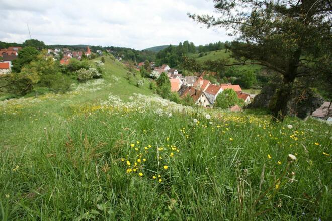 Alfeld