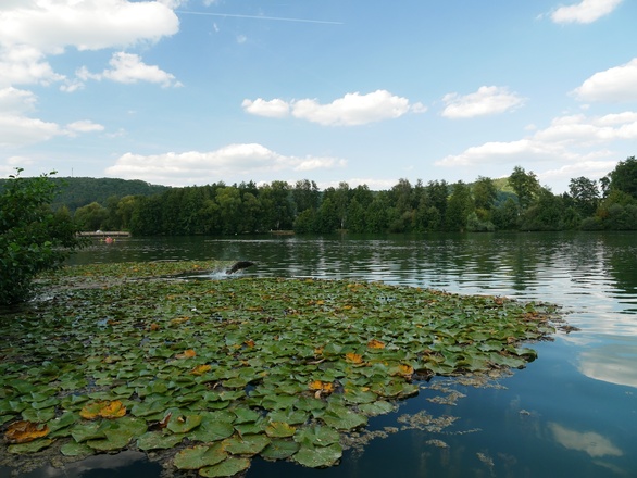 Happurger Baggersee
