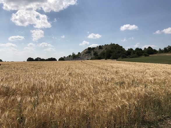 Samstag, 24. Juni 2017, 15:41 Uhr