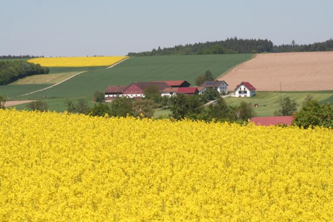 Höckhof