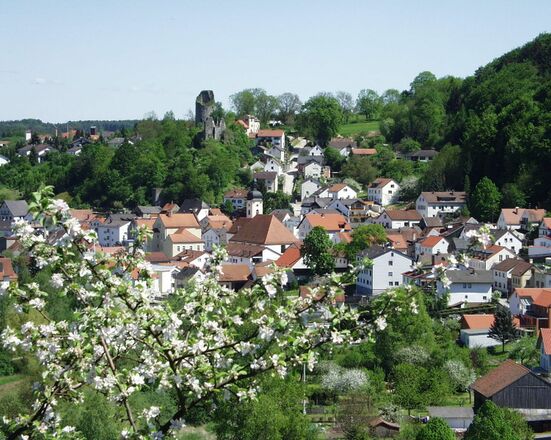 Blick zur Burgruine und auf den Ort Altmannstein