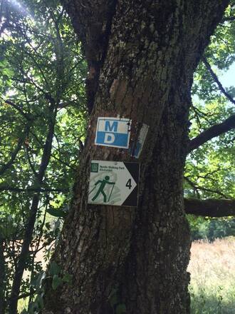 Markierung in den Bäumen