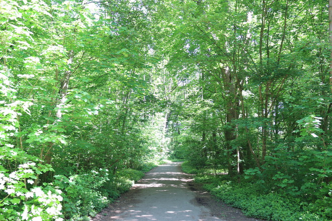 Angerlohe