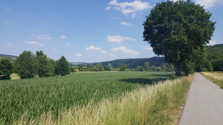 Nice Landscape
