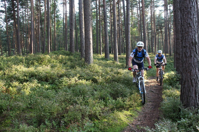 Radeln im Reichswald