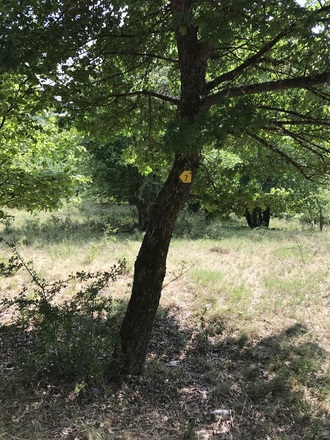 Samstag, 24. Juni 2017, 16:38 Uhr