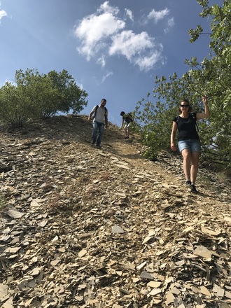 Samstag, 24. Juni 2017, 16:34 Uhr