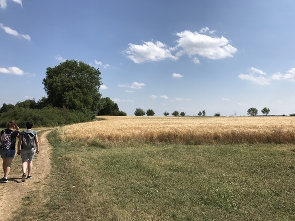 Samstag, 24. Juni 2017, 15:39 Uhr