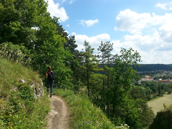 Forest path behind the castle