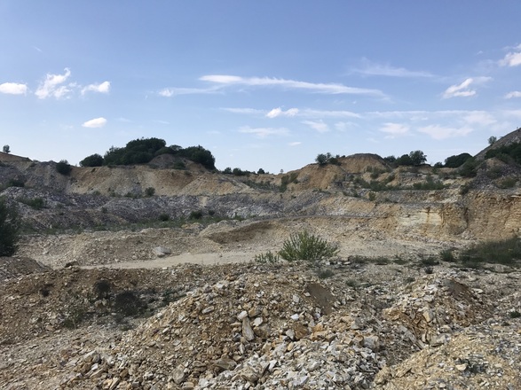 Samstag, 24. Juni 2017, 15:48 Uhr