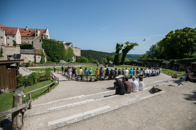 Flugschau der Greifvogel auf der Rosenburg in Riedenburg im Altmühltal