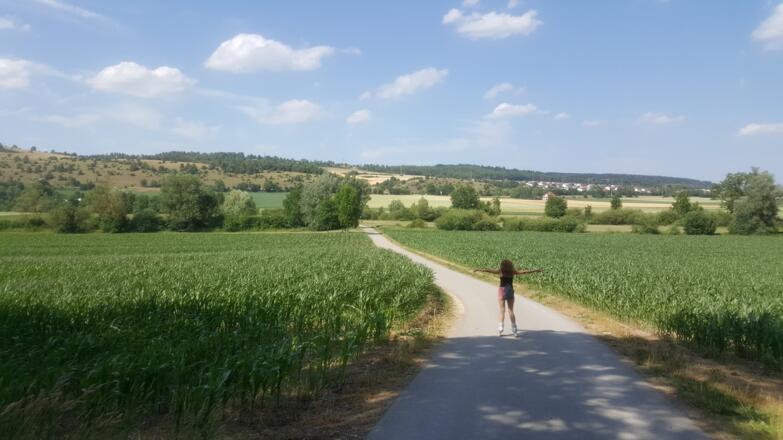 Nice Landscape