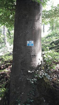 Markierung Main-Donau-Wanderweg