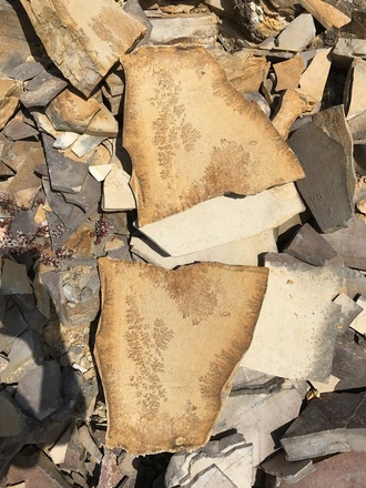 Samstag, 24. Juni 2017, 16:01 Uhr