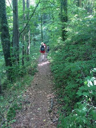 Rückweg von Frauenbergkapelle